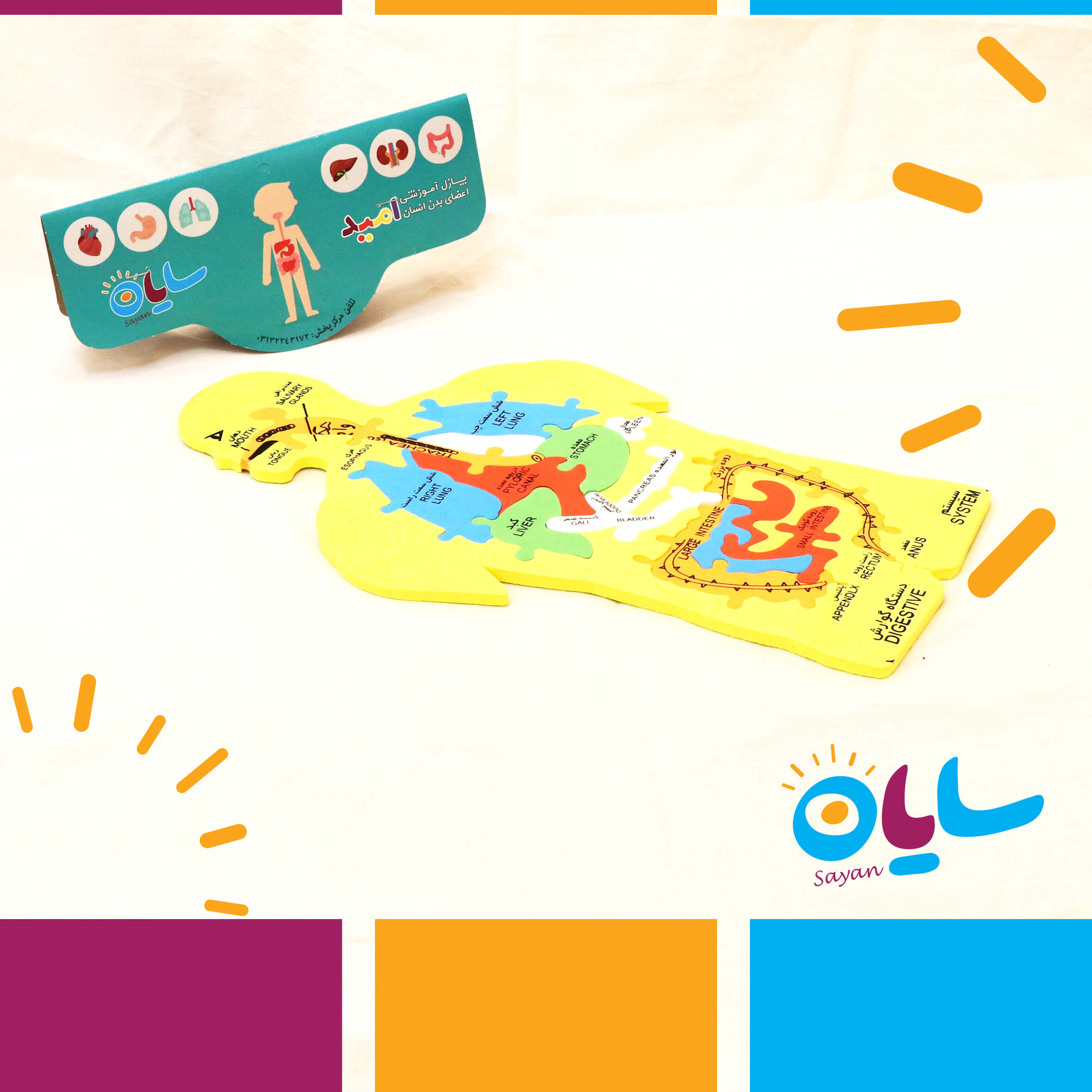 پازل آموزشی بدن